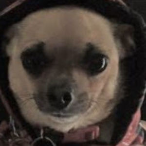 Meet your Posher, Kristina